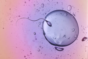 Age and male fertility